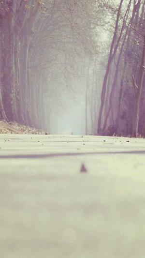 童谣真实黑料天涯截图1